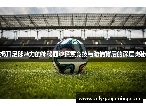 揭开足球魅力的神秘面纱探索竞技与激情背后的深层奥秘