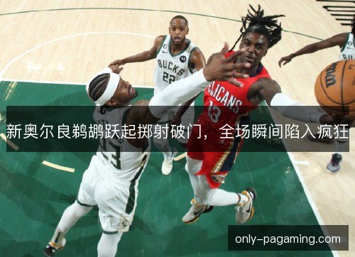新奥尔良鹈鹕跃起掷射破门，全场瞬间陷入疯狂